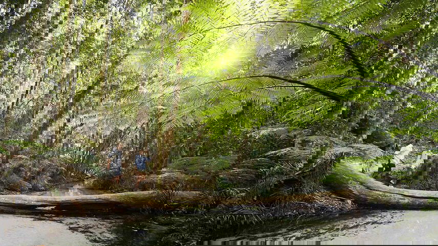 East Coast Island Escape