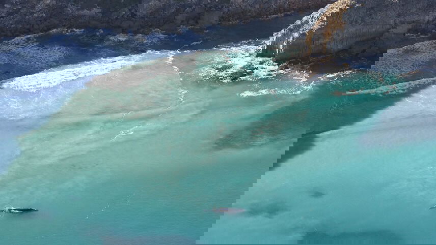 Eyre Peninsula Whale & Seafood Discovery