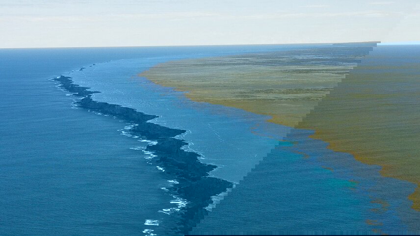 Eyre Peninsula Whale & Seafood Discovery