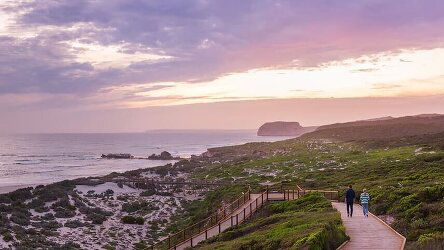 8 Day Eyre Peninsula Whale & Seafood Discovery (Outback Spirit)