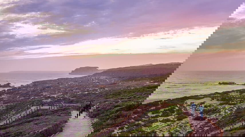 Eyre Peninsula Whale & Seafood Discovery