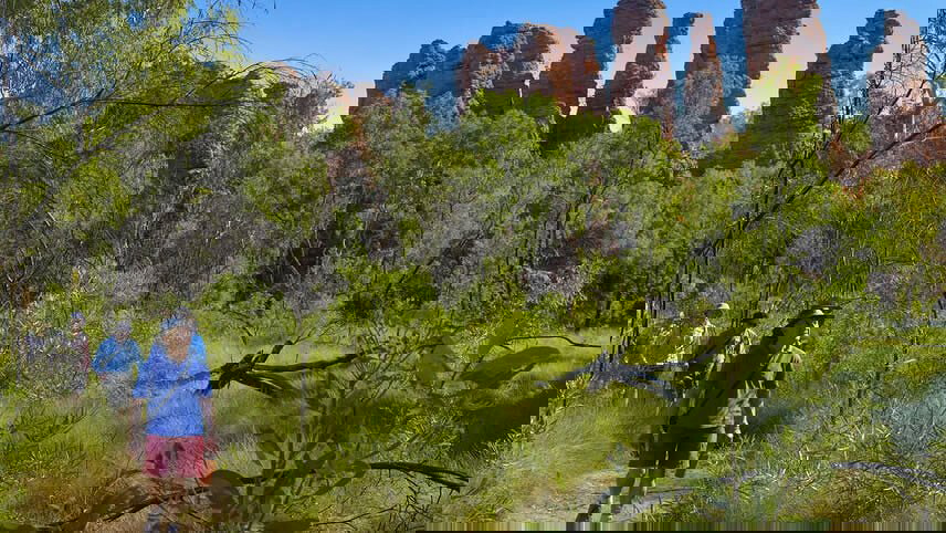 Leichhardt's Savannah Expedition