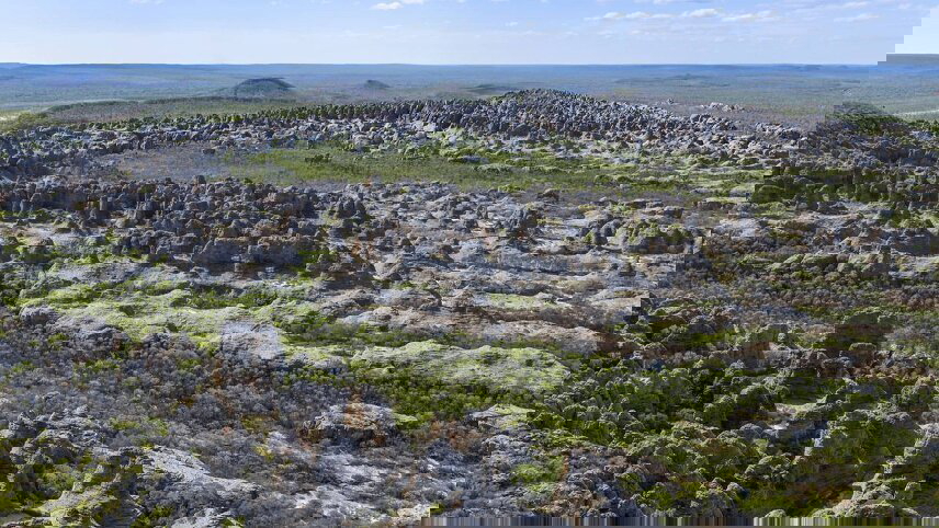 Leichhardt's Savannah Expedition (Reverse)