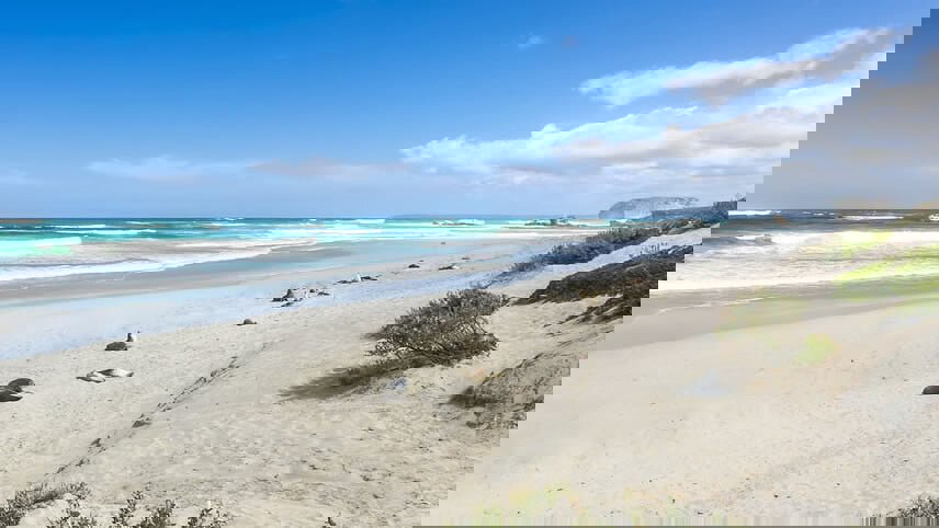 Outback South Australia & Kangaroo Island