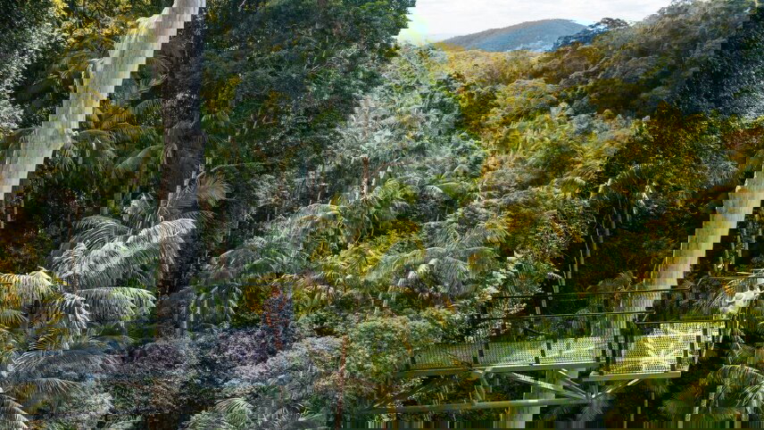 Queensland Hinterland Explorer