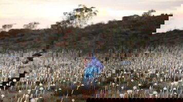 8 Day Red Centre Explorer (Outback Spirit)