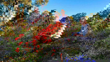 11 Day South Western Explorer (Outback Spirit)