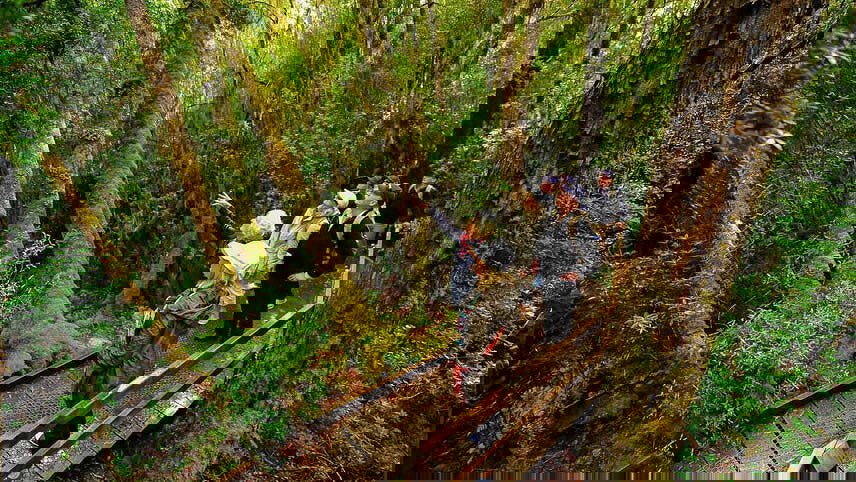 Tasmanian Wilderness Explorer