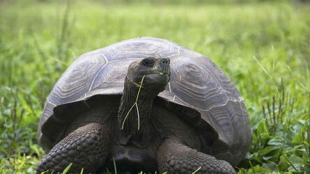 Charles Darwin Research Station