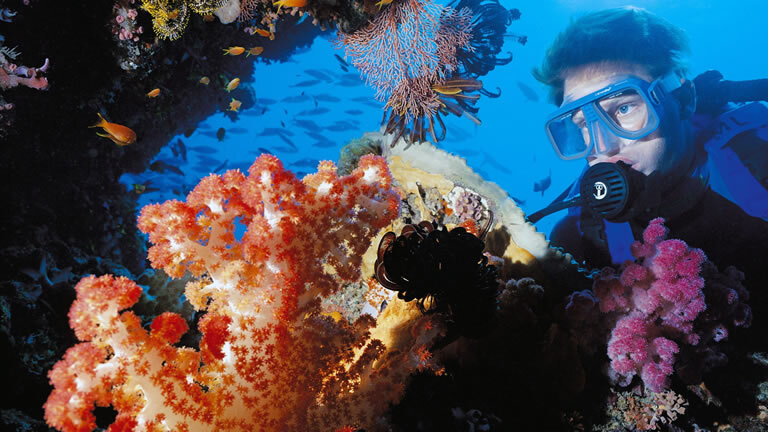 Barrier Reef Discovery Cruise