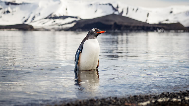 Unexplored Western Antarctica Between Two Continents