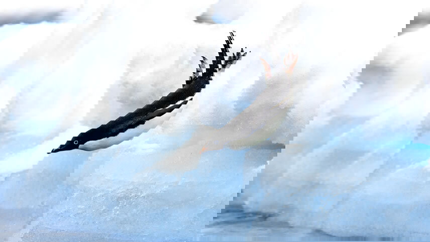 Unexplored Antarctica Between Two Continents