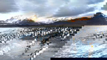 12 Day Emblematic Antarctica (Ponant)