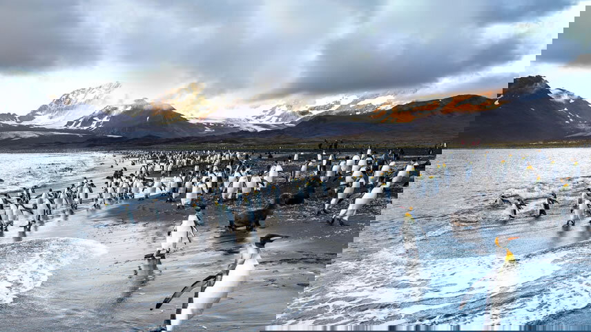 Unexplored East Antarctica & French Southern Lands