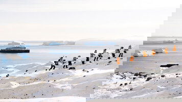 16 Day Beyond the Antarctic Circle – In the Wake of Jean-Baptiste Charcot (Ponant)