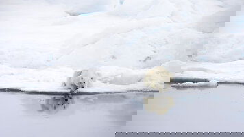 16 Day The Geographic North Pole (Ponant)