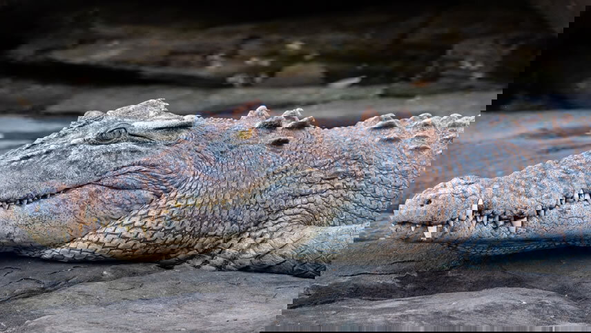 Exploring the Kimberley