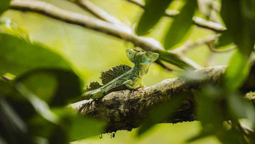 Pacific Coast of Costa Rica