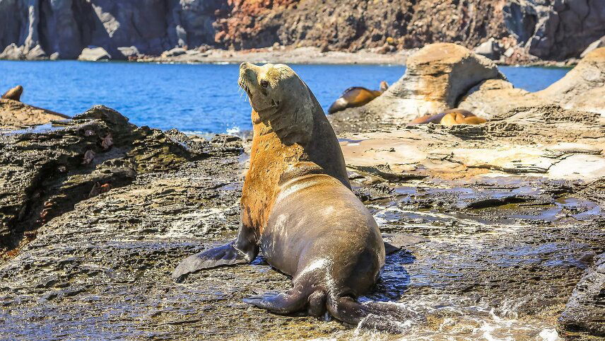 Exploration in the Heart of Baja California