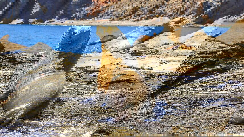 Exploration in the Heart of Baja California