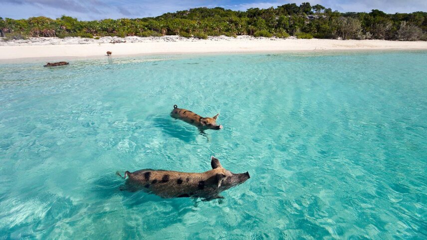 Jewels of the Northern Caribbean