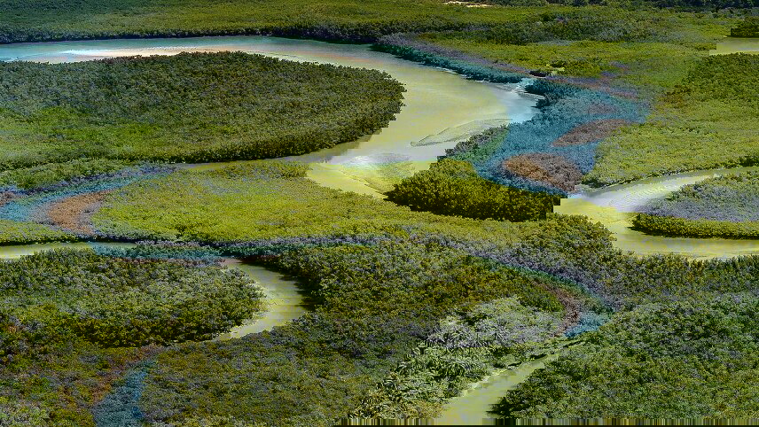 Adventure in the Bissagos Islands