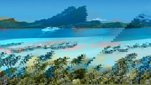 Le Paul Gauguin Le Paul Gauguin