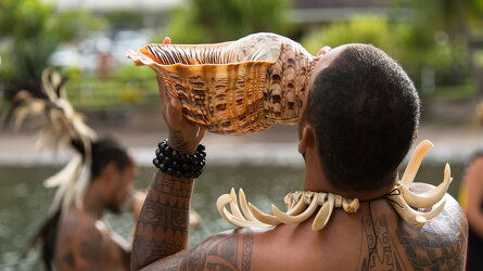 Tropical Expedition Voyages