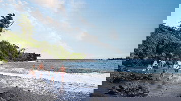 11 Day Pacific Crossing: British Columbia to Honolulu (Princess)