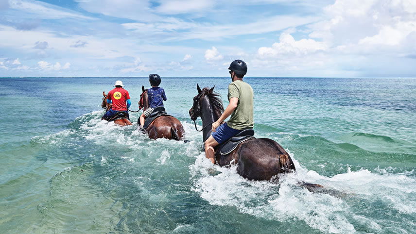 Horseback riding on a Princess excursion Horseback riding on a Princess excursion