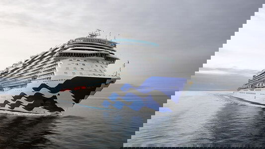 Discovery Princess Discovery Princess