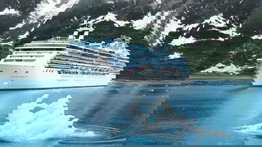 Island Princess Island Princess