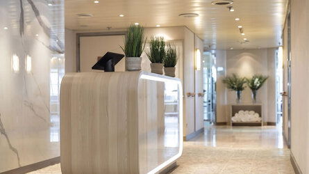 Find Holistic Wellness