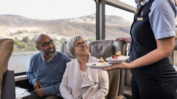 SilverLeaf: Journey in style