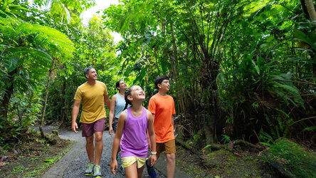 Nautre trails and walks at the Royal Beach Club Lelepa