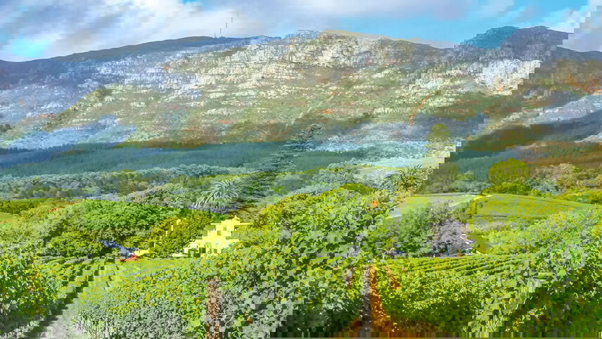 Grand African Safari