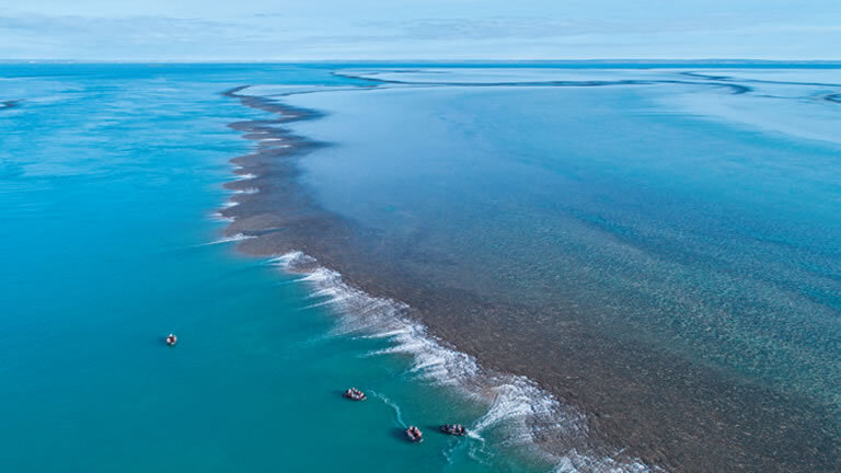 Discover the Kimberley Coastline: An Ancient Wilderness