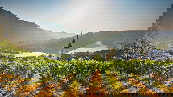 20 Day Lower Danube Discovery with Transylvania (Scenic)