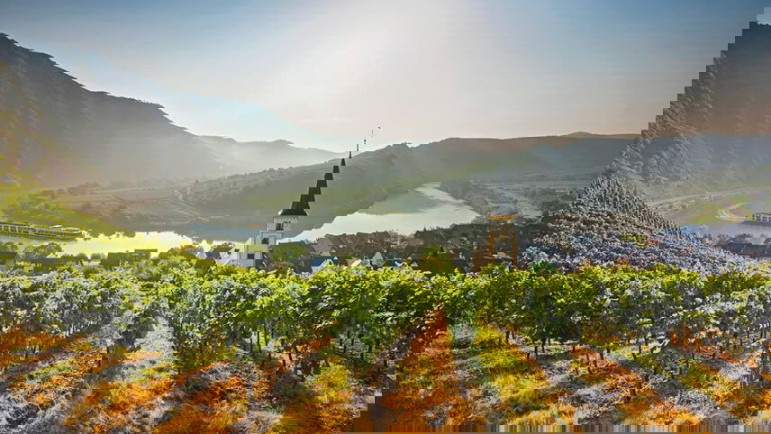 Highlights of Normandy & the Seine with London