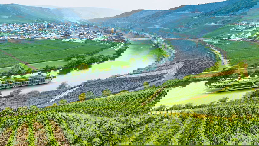 Lower Danube Discovery