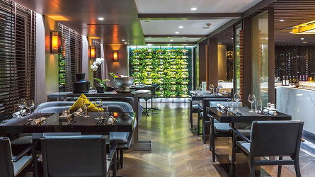 Up to Five Dining Options