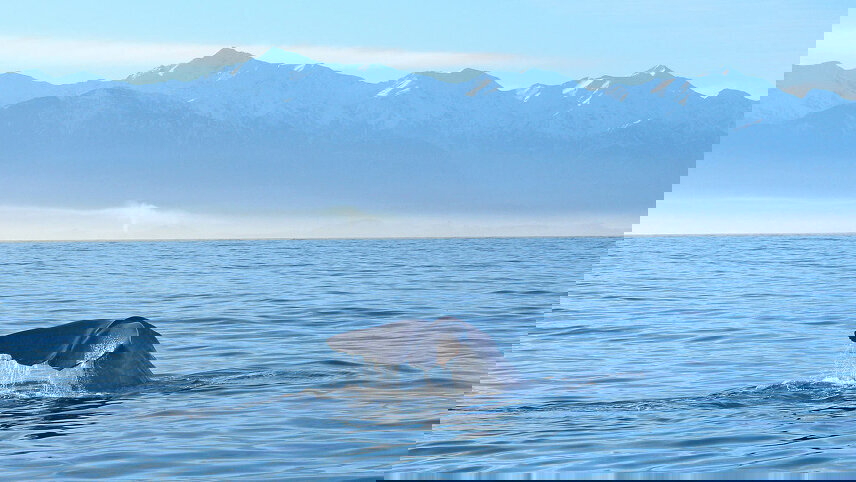 Pure New Zealand: North & South Islands