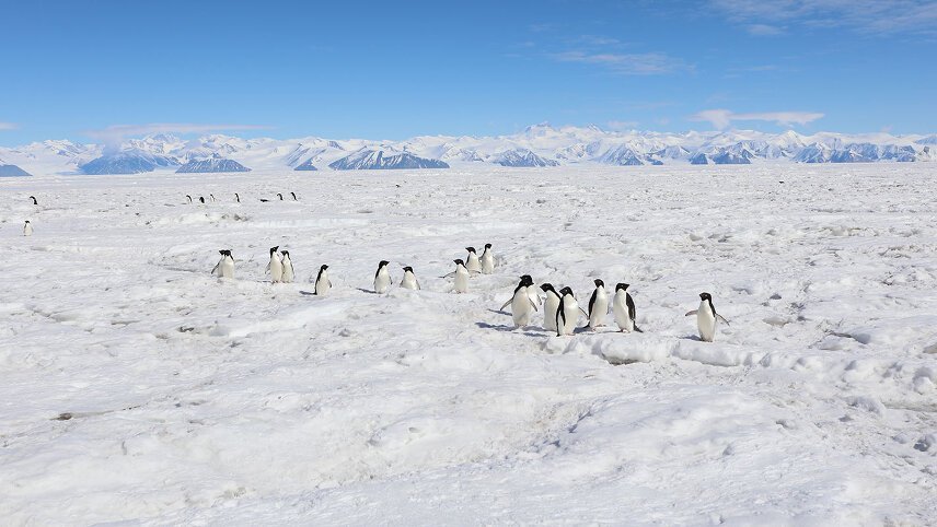 Mawson's Antarctica: Along the East Coast