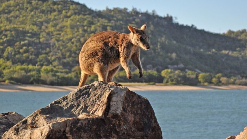 Australia’s East Coast & the Great Barrier Reef