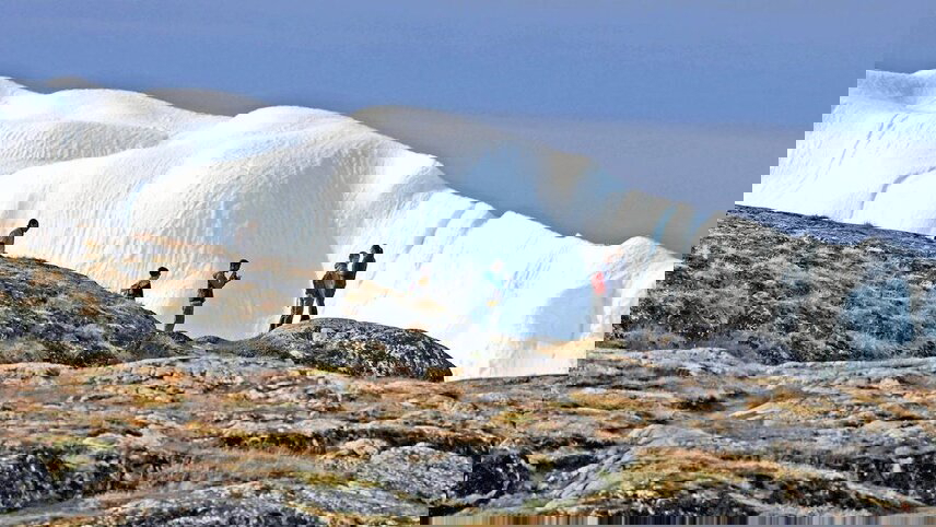 Iceland to Greenland & the Glaciers of Disko Bay