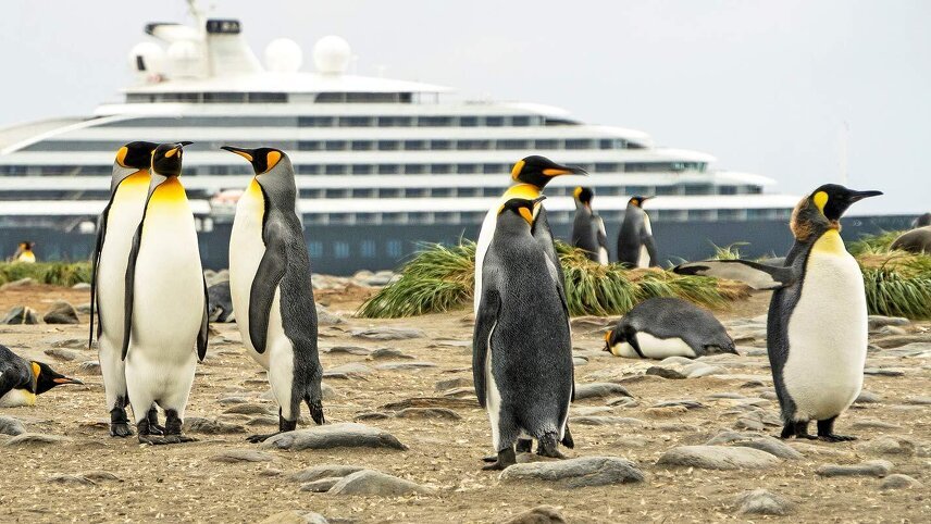 Chilean Fjords, Glaciers & Antarctic Wildlife Explorer