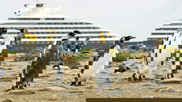 31 Day Chilean Fjords, Glaciers & Antarctic Wildlife Explorer (Scenic)