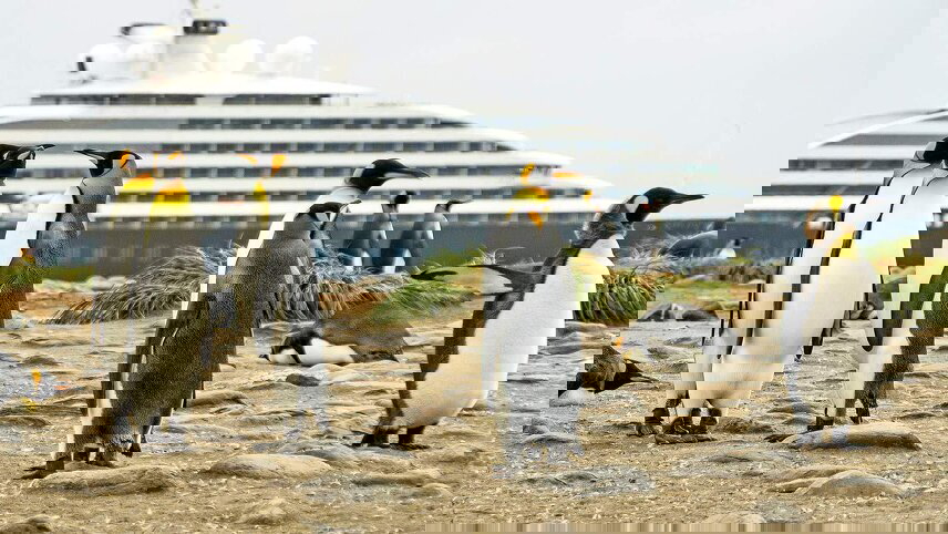 Chilean Fjords, Glaciers & Antarctic Wildlife Explorer