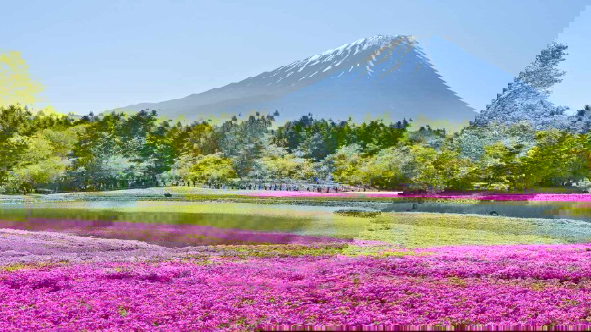 Circumnavigation of Japan: Cultures & Traditions