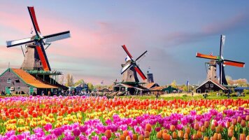 15 Day Rhine Highlights and Windmills, Tulips and Belgian Delights (Scenic)